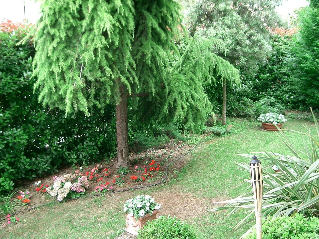 بيوفي دي ساكّو B&B Casa Boscolo المظهر الخارجي الصورة